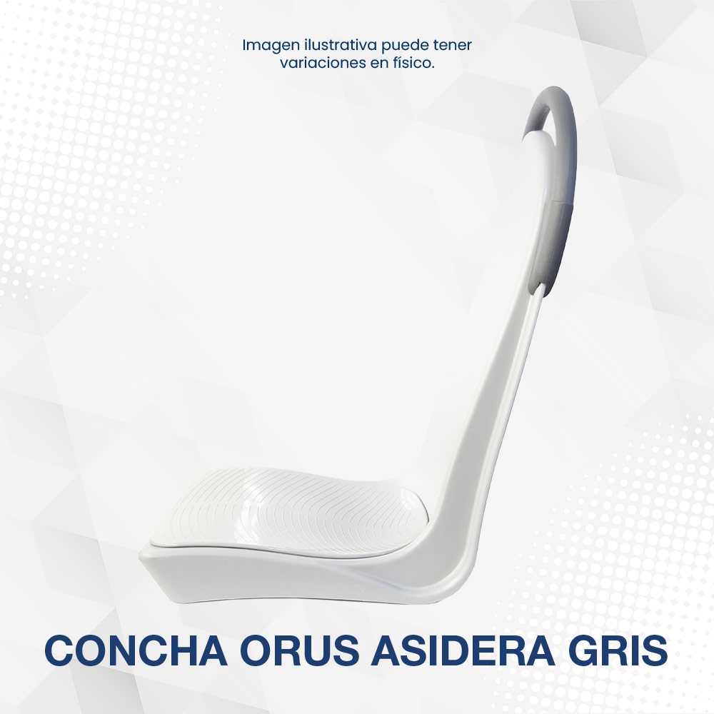 Concha Orus Asidera Gris